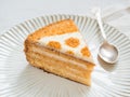 Piece of delicious cake. Delicate honey cake and sour cream. Dessert on a plate and white background