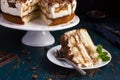 Piece of delicious tiramisu cake Royalty Free Stock Photo