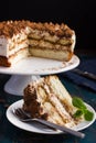 Piece of delicious tiramisu cake Royalty Free Stock Photo