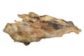 Piece of driftwood driftwood isolated on white background. Royalty Free Stock Photo