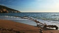 Piece of driftwood in tidal waves at beautiful sunset