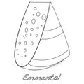 A piece of emmental cheese on white background. Dairy product, a