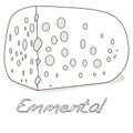 A piece of emmental cheese on white background. Dairy product, a