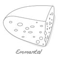 A piece of emmental cheese on white background. Dairy product, a