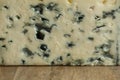 Piece of French Bleu d`auvergne cheese