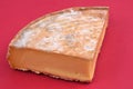 Piece of French Saint-Nectaire farmer`s cheese close-up on a red background
