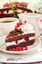 Piece of fresh homemade Black Forest cake