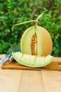 Piece of fresh yellow galia melon Royalty Free Stock Photo