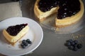 Piece of freshness delicious blueberry cheese cake on plate