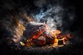 Piece of fried meat on a black background with smoke and fire. Baked meat. Delicious dish. Artistic blur. Advertising background