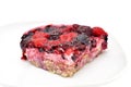 The piece of fruit cake with berries on a plate Royalty Free Stock Photo