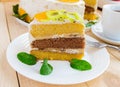 A piece of fruit cake - kiwi, orange, mint leaves Royalty Free Stock Photo