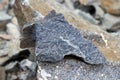 a piece of gabbro stone chipped from a rock