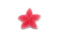 A piece of Gelatin jelly candy colorful Star design.