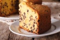 Piece of German kuchen with chocolate macro. horizontal