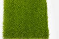 Piece grass for football. On a white background, close-up