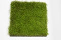 Piece grass for football. On a white background, close-up