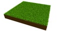 Piece of grass Royalty Free Stock Photo