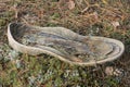 a piece of gray rubber sole from an old torn dirty shoe lies on thegreen moss