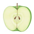 Piece of Green Apple