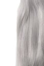 Piece of grey hair Royalty Free Stock Photo