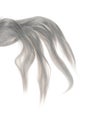 Piece of grey weft hair Royalty Free Stock Photo