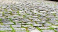 Paving stones. Paved pavement with sprouted green grass on a warm sunny day Royalty Free Stock Photo