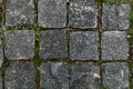 Paving stones. Paved pavement with sprouted green grass on a warm sunny day Royalty Free Stock Photo