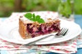 A piece of healthy wholemeal apple blackcurrant pie