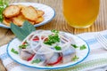 Piece of Herring, Potato Chips, and Glass of Beer Royalty Free Stock Photo