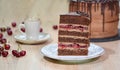 Piece of homemade cherry cake with chocolate cream Royalty Free Stock Photo