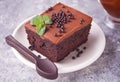 A piece of homemade chocolate cake on the plate with icing, mint leaf and chocolate spoon on the gray table Royalty Free Stock Photo