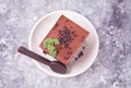 A piece of homemade chocolate cake on the plate with icing, mint leaf and chocolate spoon on the gray table Royalty Free Stock Photo