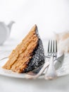 A piece of homemade multi-layer biscuit cake. Soaked in butter cream. Garnished with chocolate icing and coconut. On a white plate Royalty Free Stock Photo