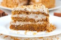 Piece of homemade tasty carrot sponge cake with Royalty Free Stock Photo