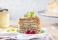 Piece of honey cake Medovik, layer cake decorated with berries on light background Royalty Free Stock Photo
