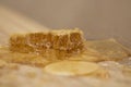 A piece of honey comb