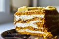 A piece of honey cream dark cake close up