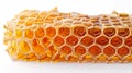 Piece of honeycomb, oozing with golden honey, isolated on white