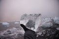 Piece of ice in Iceland, iceberg, black beach sand