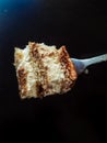 Piece of italian dessert - tiramisu cake on a fork with dark background