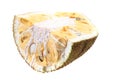piece of jackfruit isolated Royalty Free Stock Photo