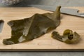 Piece of Japanese kombu soaked seaweed