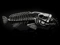 Piece of jewelry - a Pendant on the neck - Skeleton fish Piranha