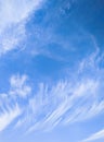 A piece of July sky. On a warm summer day, soft clouds and the Moon met in a bright blue sky. Royalty Free Stock Photo