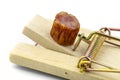 Piece of kabanosa meat lying on a pawl in a mousetrap, isolated on a white background.