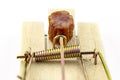 Piece of kabanosa meat lying on a pawl in a mousetrap, isolated on a white background.