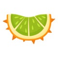 Piece of kiwano icon cartoon vector. Vitamin dessert