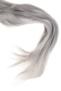 Piece of long grey hair Royalty Free Stock Photo