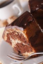 Piece of marble cake with chocolate macro on a plate. vertical Royalty Free Stock Photo